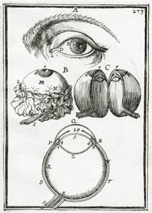 Ilustracja z La Geometrie Pratique 1702,